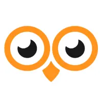 Oowlish Technology logo