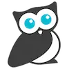 Report Owl LLC logo